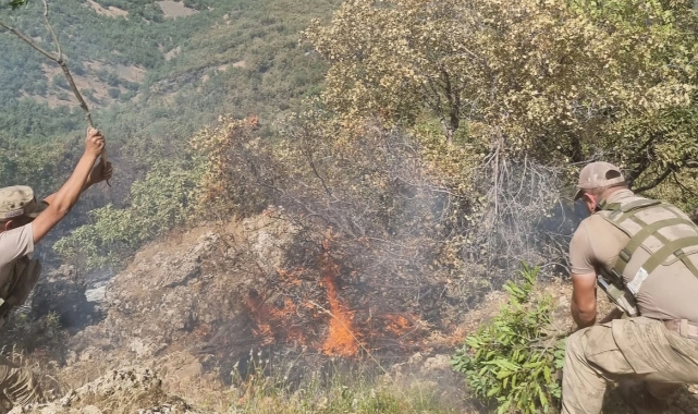 Siirt'teki orman yangını söndürüldü