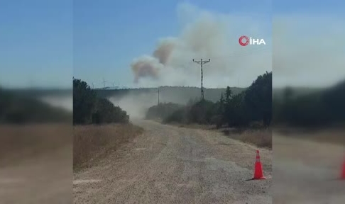 Silivri’de çıkan orman yangını kontrol altına alındı