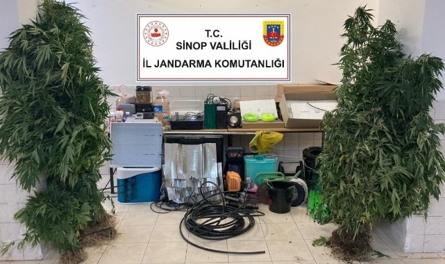 Sinop’ta uyuşturucu tacirlerine operasyon