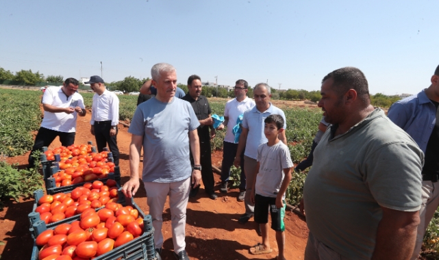 Tahmazoğlu, mahsulü çiftçilerle topladı