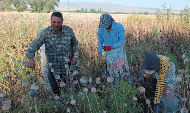 Tarım işçilerinin günlük yevmiyesi belli oldu
