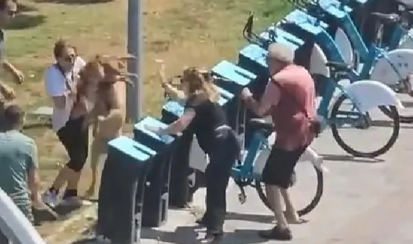 Tasmasız köpek dehşet saçtı