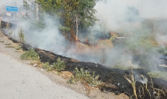 Tekirdağ'da ağaçlık alan kül oldu