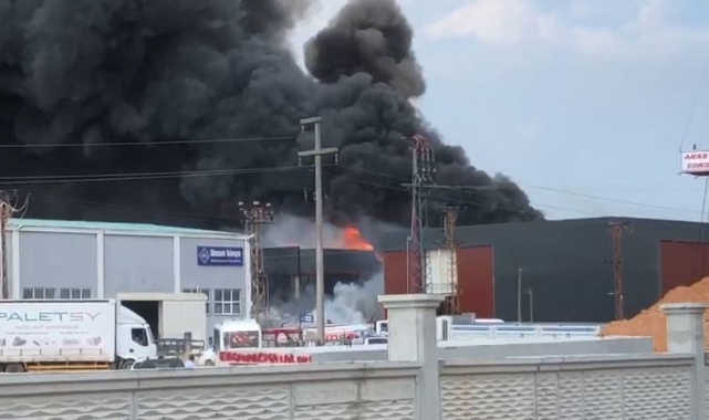 Tekirdağ'da kimya fabrikasında yangın