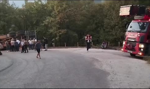 Tomruk yüklü kamyon devrildi, sürücü yaralandı
