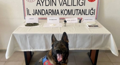 Uyuşturucu tacirleri kıskıvrak yakalandı