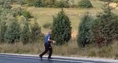 Yalova’da polis memuru kaplumbağayı kurtardı