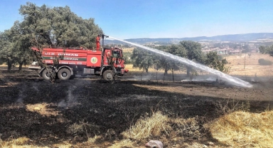 Yangında 7 dekar alan zarar gördü