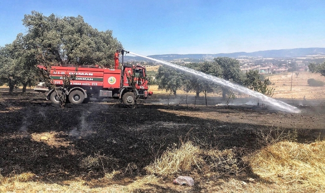 Yangında 7 dekar alan zarar gördü