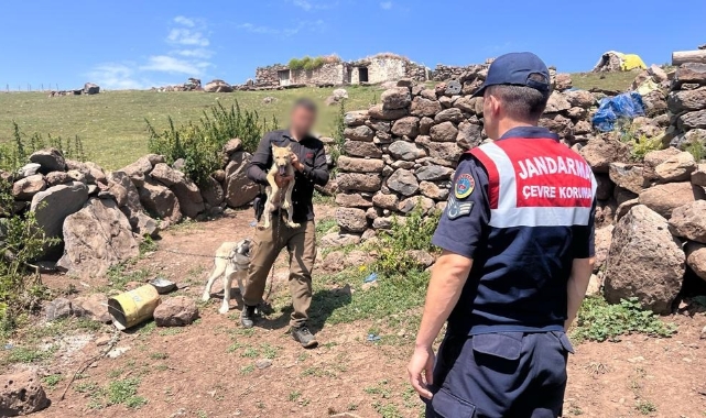 Yavru kurt satışı yapan kişiye ceza