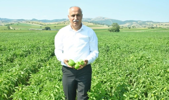 Yenişehir'e dev soğuk hava tesisi