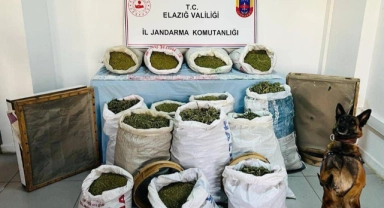 241 kilo esrar ele geçirildi: 2 tutuklama!