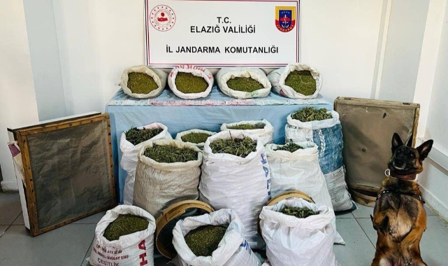 241 kilo esrar ele geçirildi: 2 tutuklama!