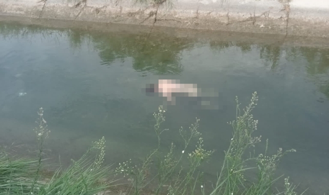 27 kilometre uzaklıkta cesedi bulundu