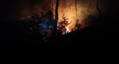 Adana’da 6 farklı noktada başlayan yangın söndürüldü