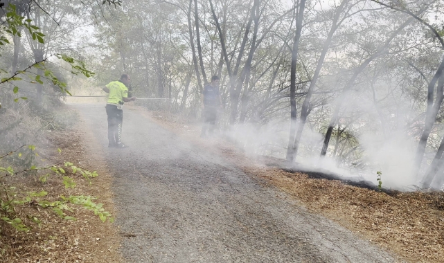 Ağaçlık alandaki yangına polis müdahale etti