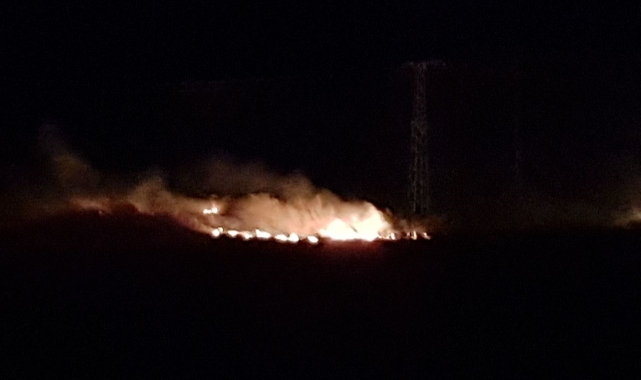 Anız yangınında yüzlerce dönüm alan zarar gördü