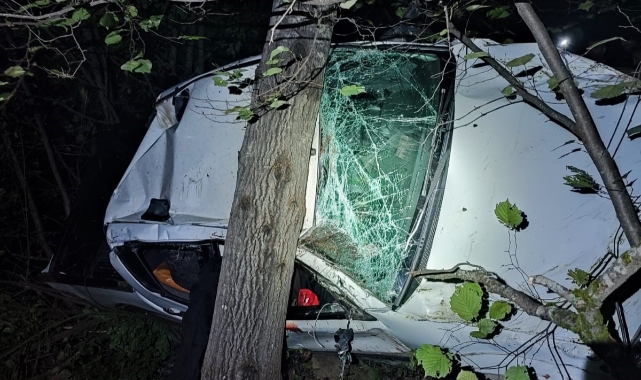 Artvin'de trafik kazası: 1 ölü, 2 yaralı