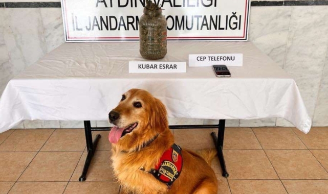 Aydın'da uyuşturucu operasyonları aralıksız sürüyor