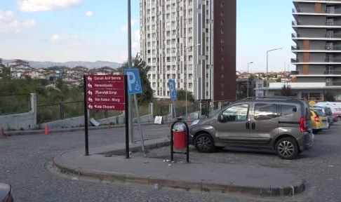 Ayının saldırdığı kişiyi köpekler kurtardı