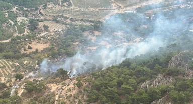 Bergama'da orman yangını, 2 saatte söndürüldü