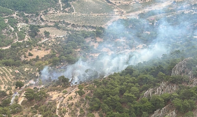 Bergama'da orman yangını, 2 saatte söndürüldü