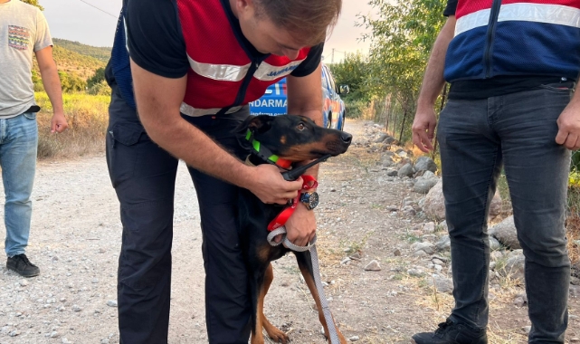 Berzeg'in köpeği Tina'dan haber var!