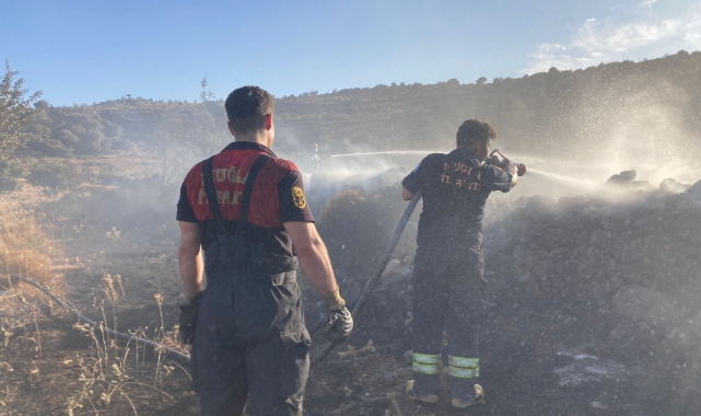 Bodrum’da makilik alanda yangın
