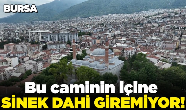 Bu caminin içine sinek dahi giremiyor