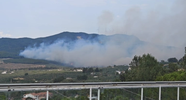 Bursa'da ormanlık alanda yangın