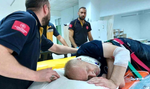 Ceviz ağacından düşerek hastanelik oldu