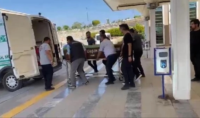 Dayısını tüfekle vurarak öldürdü!