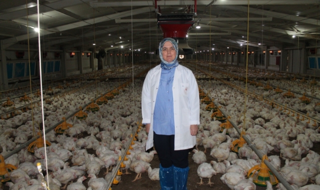 Devletten aldığı destekle üretim yapıyor