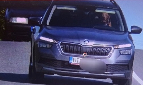 Direksiyonundaki köpek kameralara yakalandı