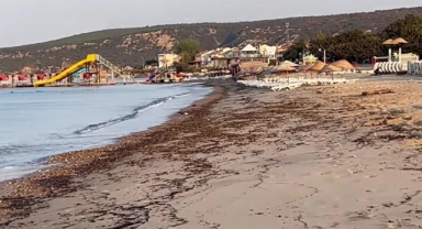 Edirne kıyı şeridi siyaha büründü