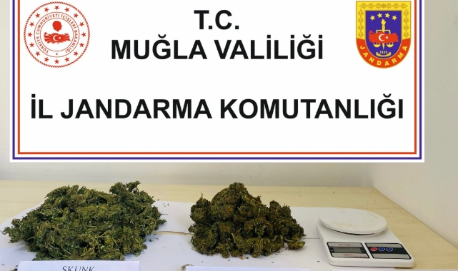 Fethiye'de uyuşturucu operasyonu: 1 gözaltı