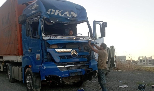 Freni boşaldı, çayırlık alana uçtu