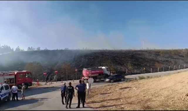 Gençlerin tehlikeli oyunu ormanı yakacaktı