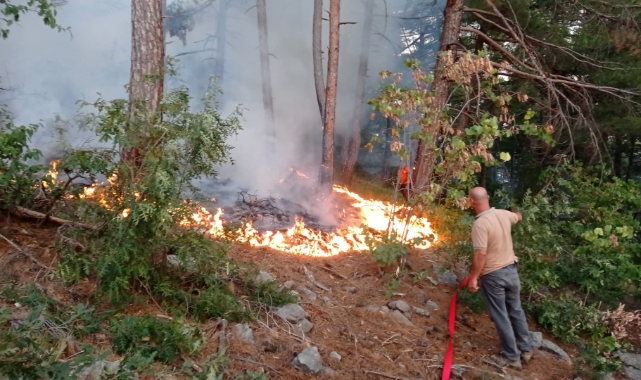 Hatay'da orman yangınına havadan ve karadan müdahale sürüyor