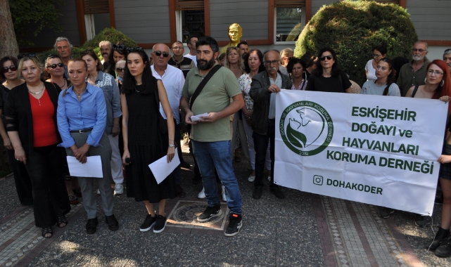 Hayvanseverlerin bakımevi çağrısı!