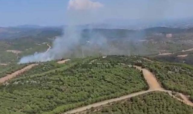 İzmir'de orman yangını