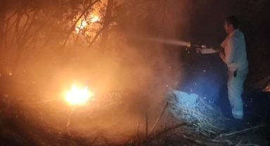 İzmir'de yangın ile mücadele sürüyor