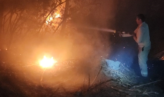 İzmir'de yangın ile mücadele sürüyor