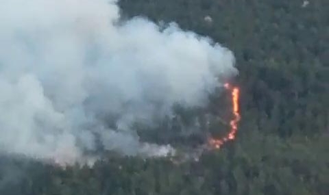 Karabük'teki yangın kontrol altına alındı!