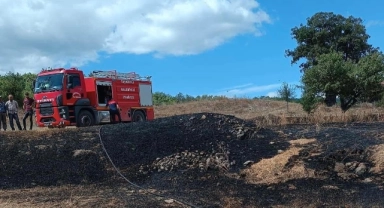 Kastamonu’da anız yangını