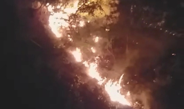 Kastamonu'da korkutan orman yangını