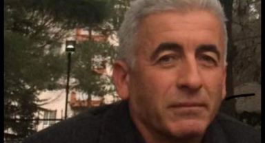 Kestiği ağacın altında kaldı, hastanede öldü
