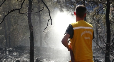 Kocaeli’de çıkan orman yangını söndürüldü
