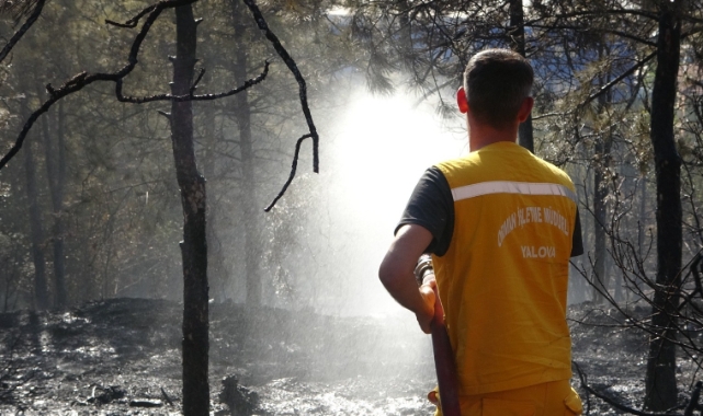 Kocaeli’de çıkan orman yangını söndürüldü