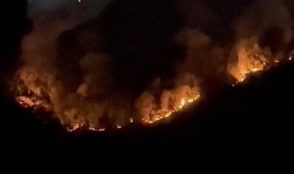 Kocaeli’de korkutan orman yangını
